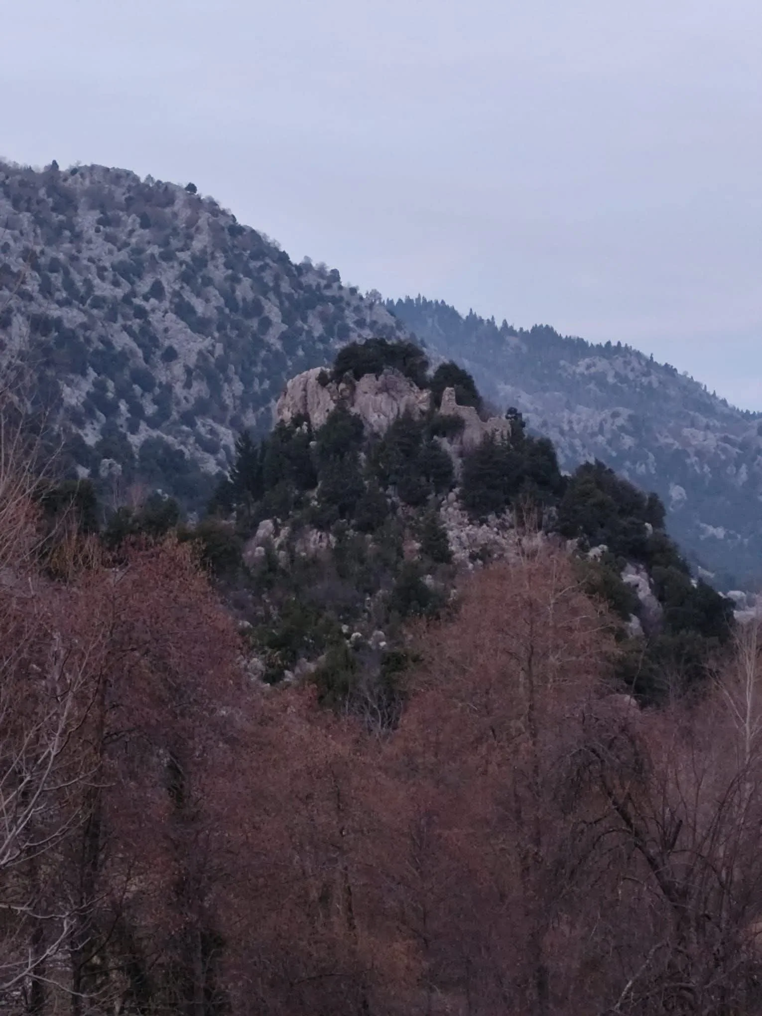 ad07a87c 7050 4f72 a259 72a39a6594f5