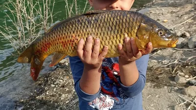 Kahramanmaraş ili genelinde ve Andırın'da iç sularda, balık popülasyonunu korumak