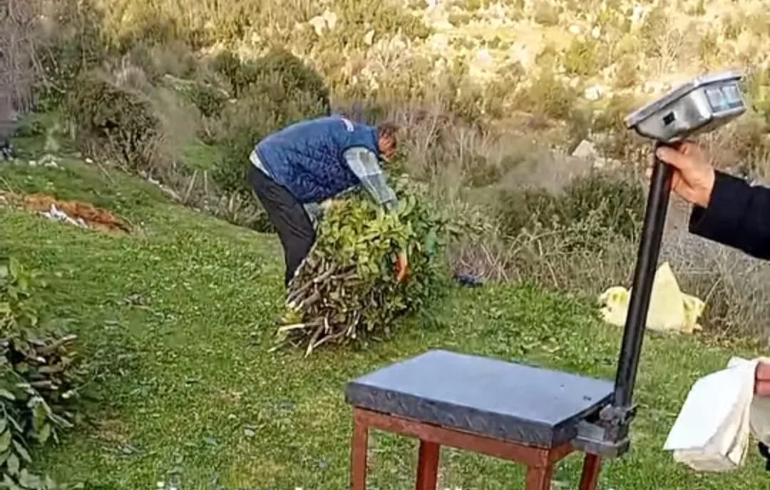 ec8c942c 1047 498c bff9 562c80bb0b0c