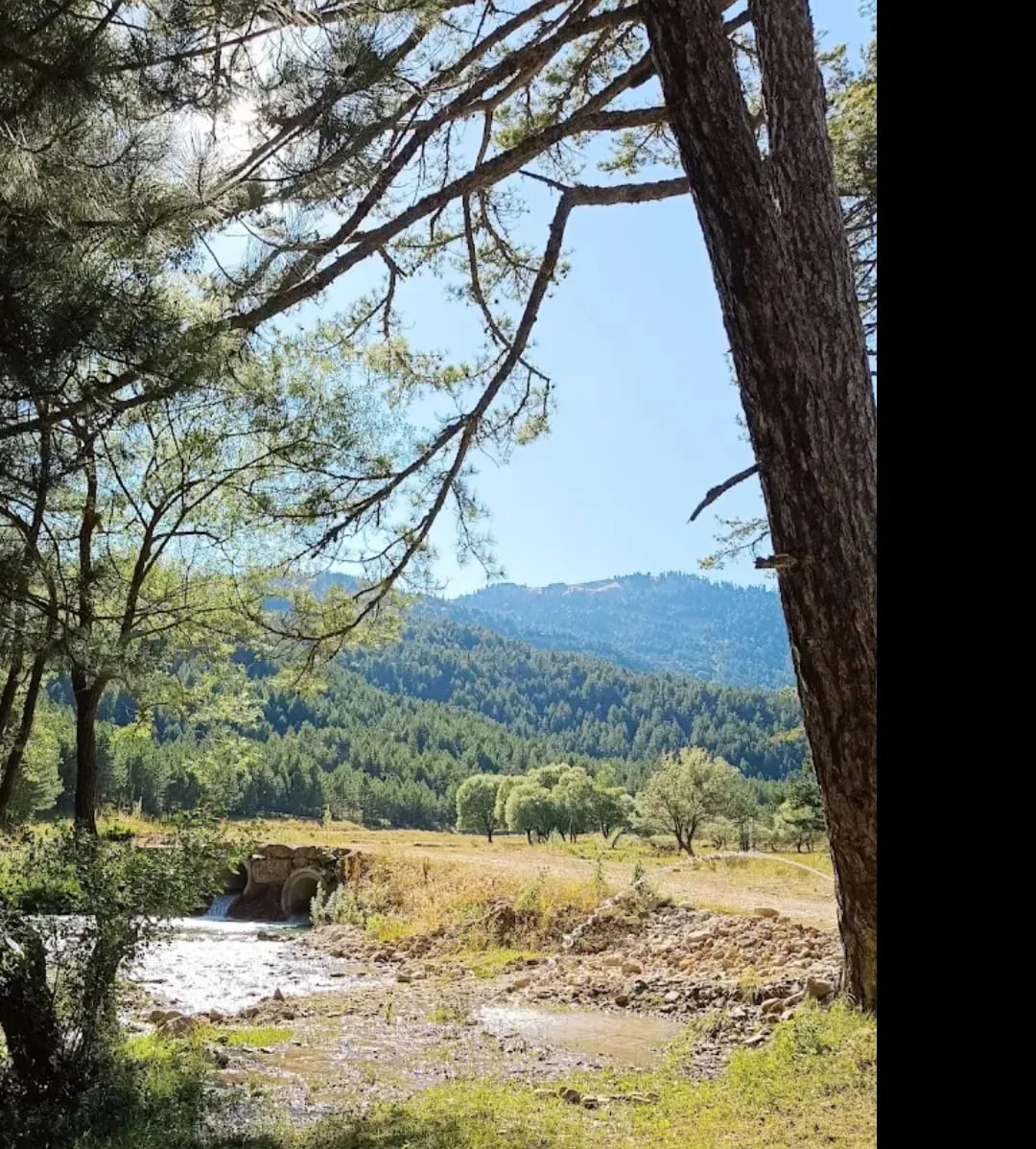 ff2d4205 d0a6 4d68 8f4c 771d5f3ce0e3