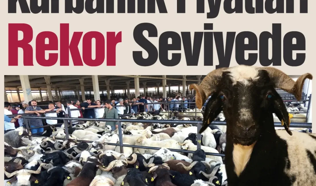 Kahramanmaraş'ta yaklaşan Kurban Bayramı öncesi kurbanlık pazarlarında hareketlilik başladı ancak