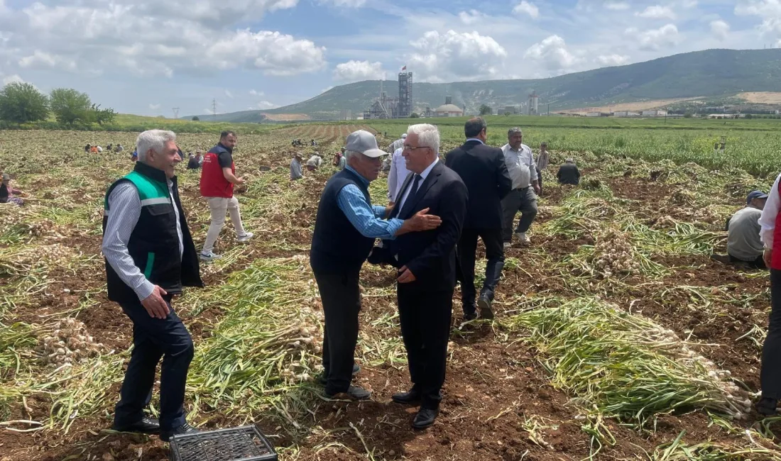 Pazarcık’ta 14 Mayıs Dünya Çiftçiler Günü dolayısıyla Narlı Mahallesi’nde sarımsak