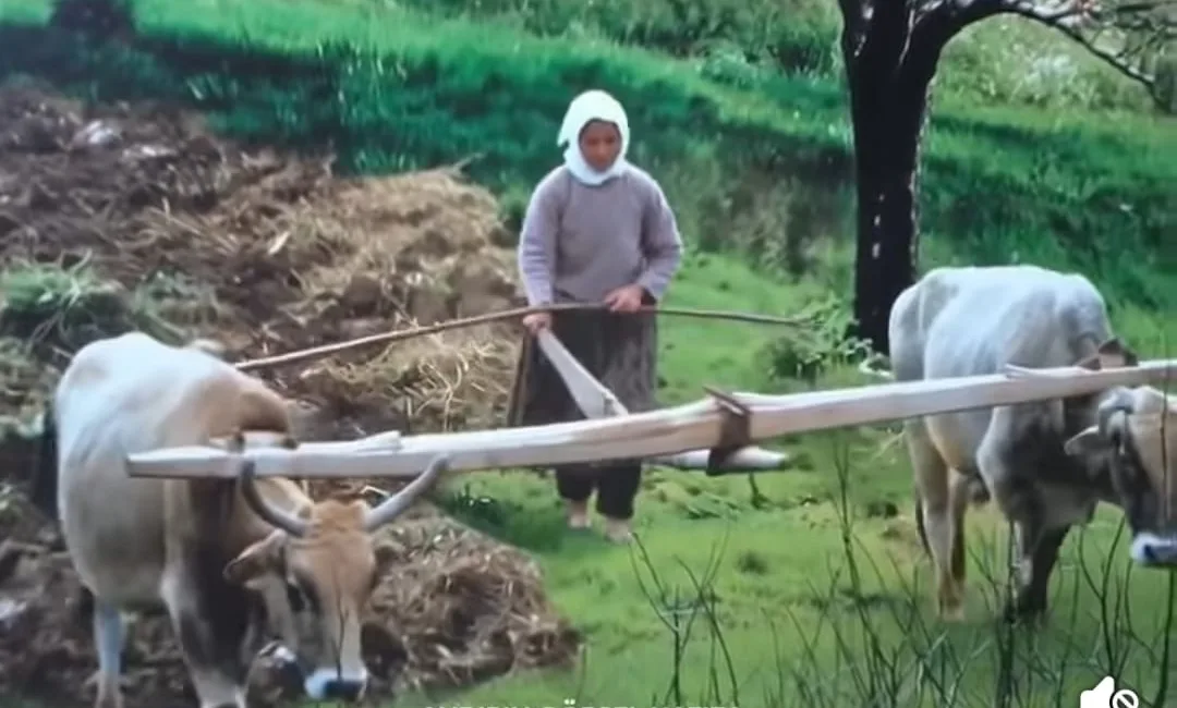 Andırın’ın köklü geçmişine ışık tutan "Andırın Görsel Hafıza" projesi, ilçenin