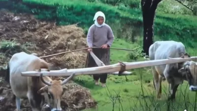 Andırın’ın köklü geçmişine ışık tutan "Andırın Görsel Hafıza" projesi, ilçenin