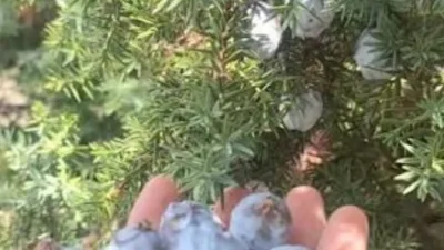 Kahramanmaraş’ta düzenlenen Pharmaraş Eczacılık Kongresi, Andırın ilçesi için tarihi bir
