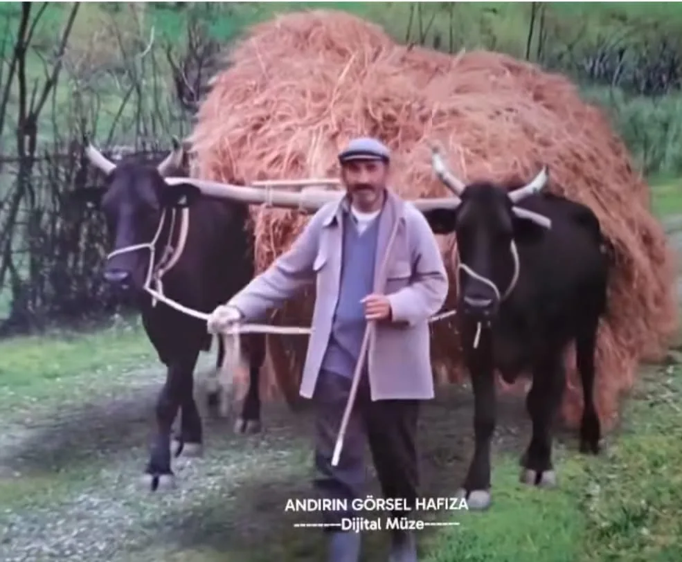 Andırın'ın Hafızasında Bir Yolculuk: Kağnıların Sesi Yeniden Yankılanıyor