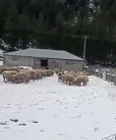 Kahramanmaraş, Osmaniye, Adana, Gaziantep ve Mersin! Böylesi görülmedi