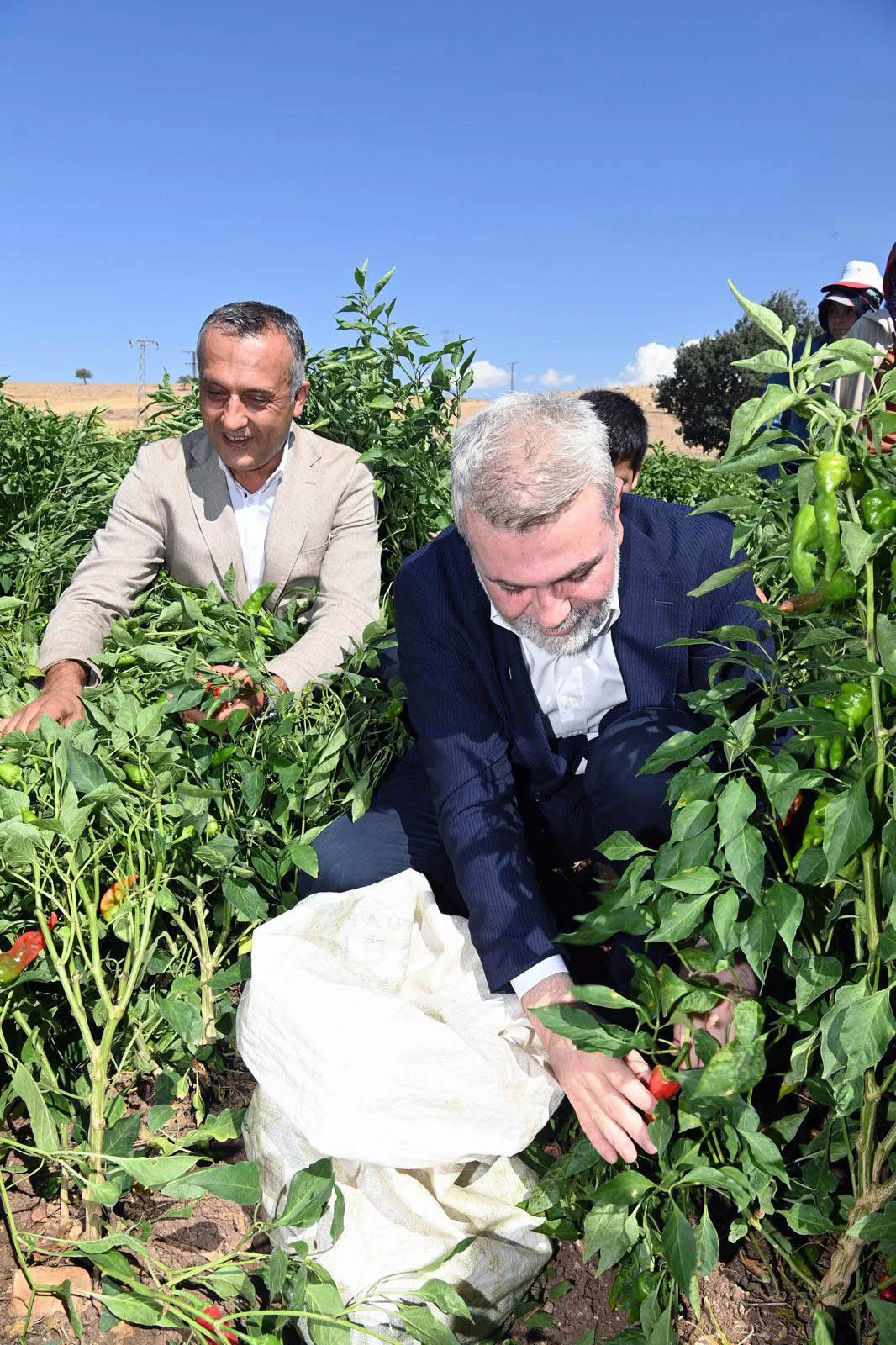 Başkan Görgel’den Üreticiye Tam Destek Başkan Görgel’den Üreticiye Tam Destek