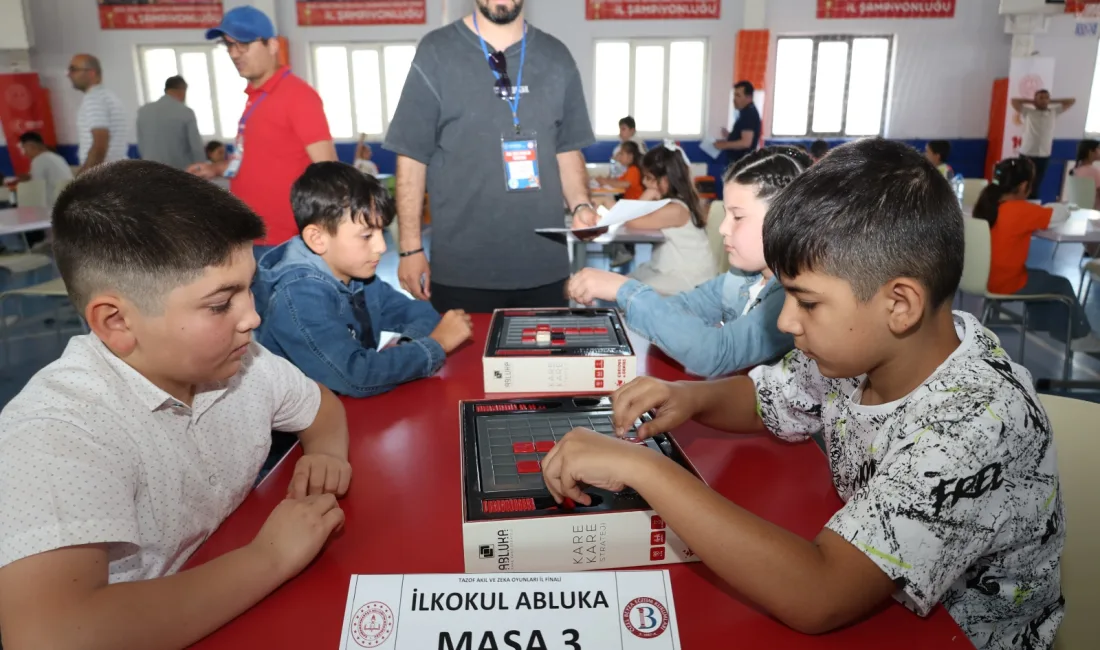 Millî Eğitim Bakanlığı ile Türkiye Akıl ve Zekâ Oyunları Federasyonu