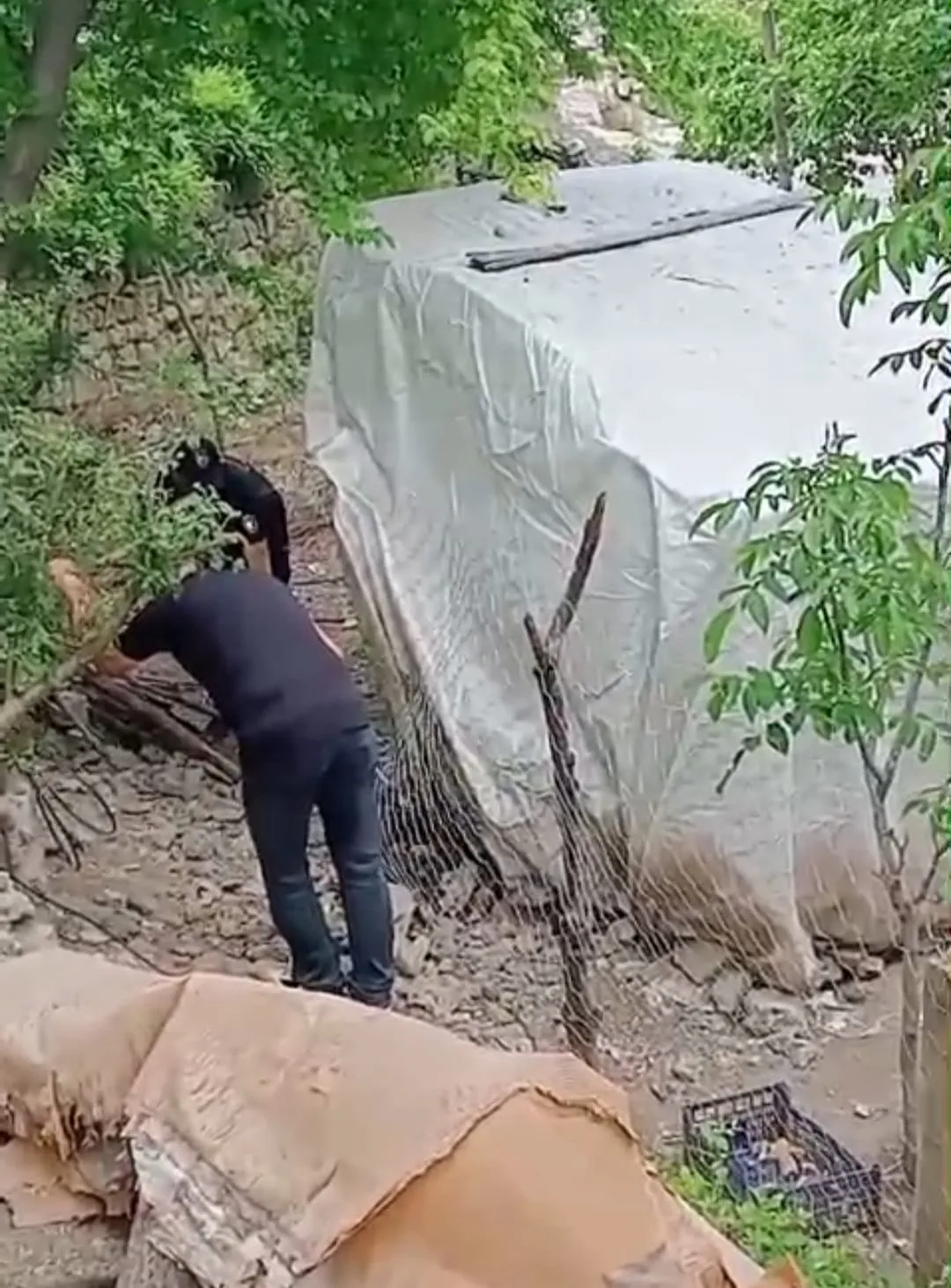 Andırın’da Kümese Giren Dev Kara Yılan İtfaiyeyi Alarma Geçirdi