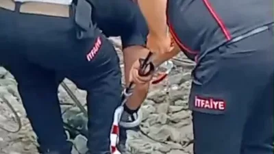 Kahramanmaraş’ın Andırın ilçesinde bir evin kümesine giren yaklaşık 2 metre