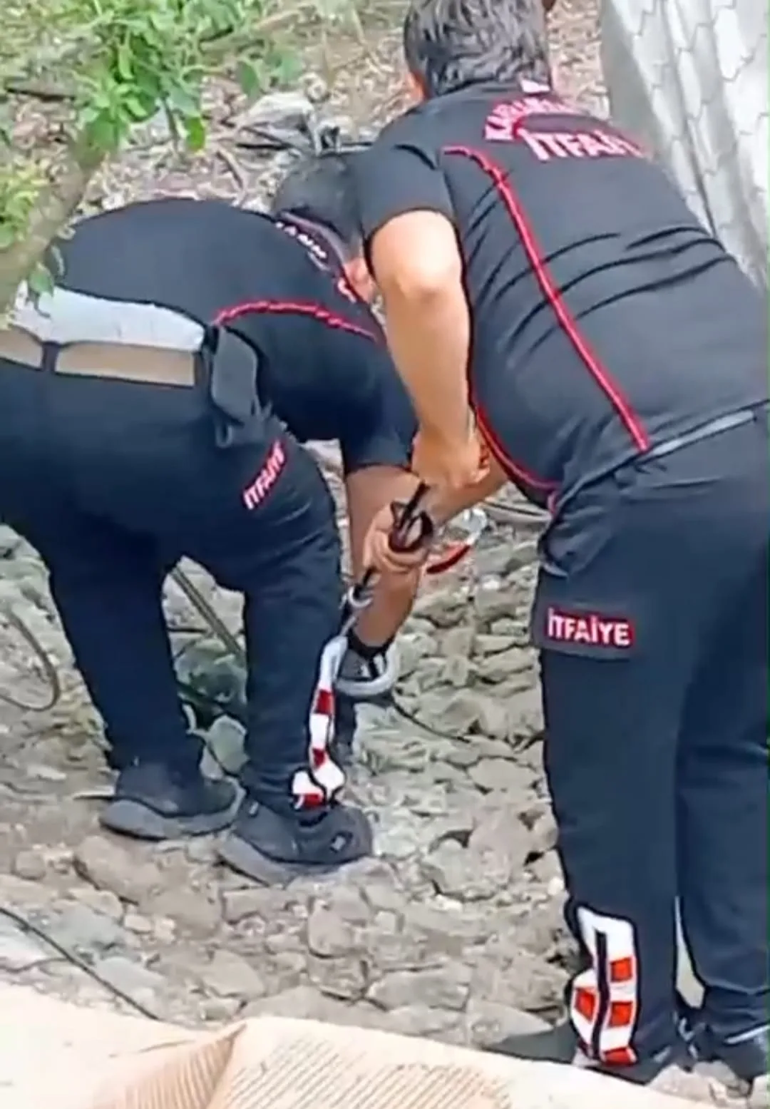 Andırın’da Kümese Giren Dev Kara Yılan İtfaiyeyi Alarma Geçirdi