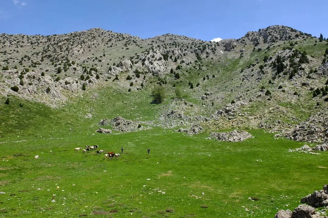 Doğa Meraklıları ve Göçerlerin Yeni Rotası: Gâvur Oluğu Yaylası Şenleniyor
