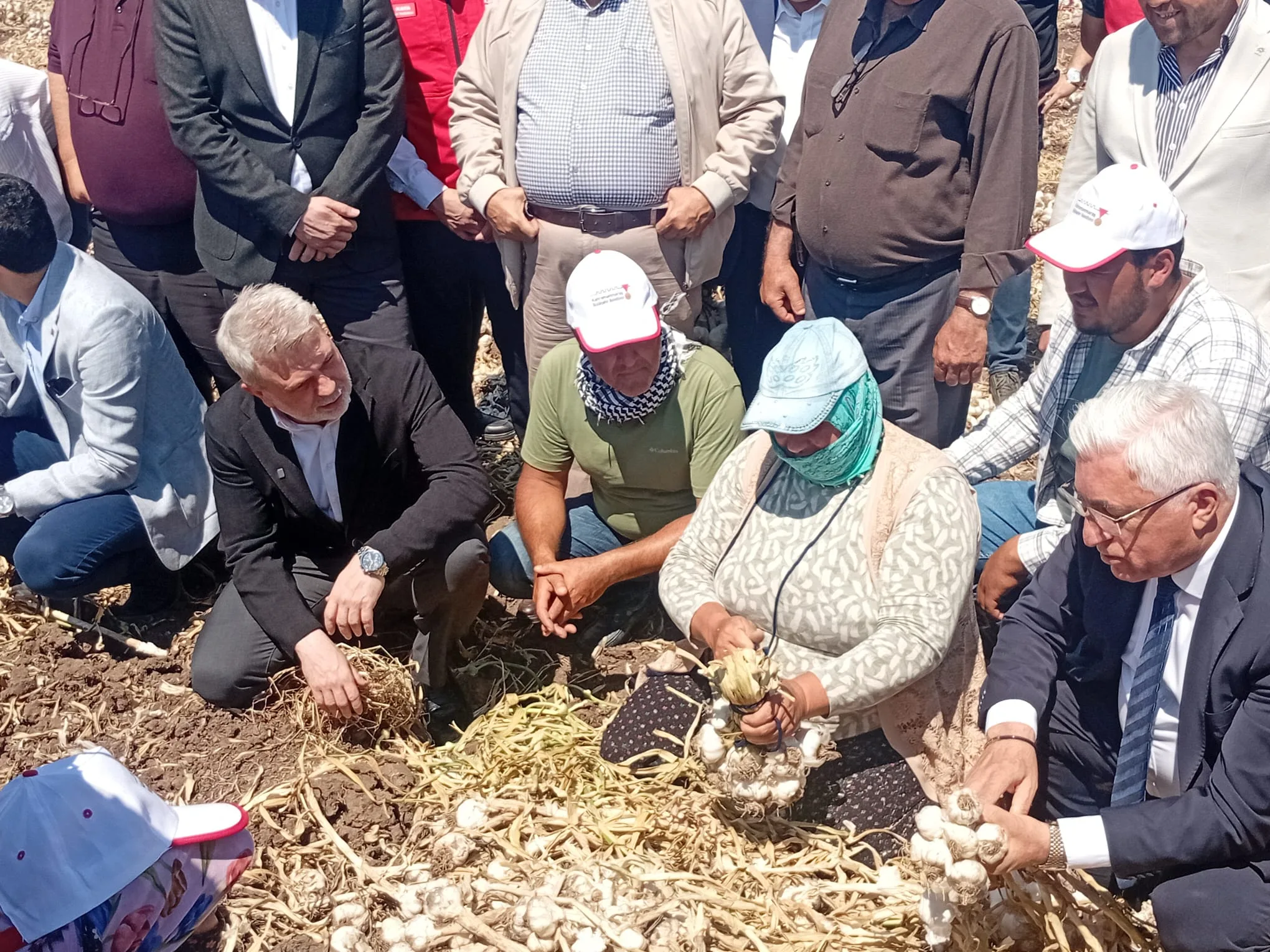 Pazarcık’ta ‘Beyaz Altın’ Mesaisi Başladı