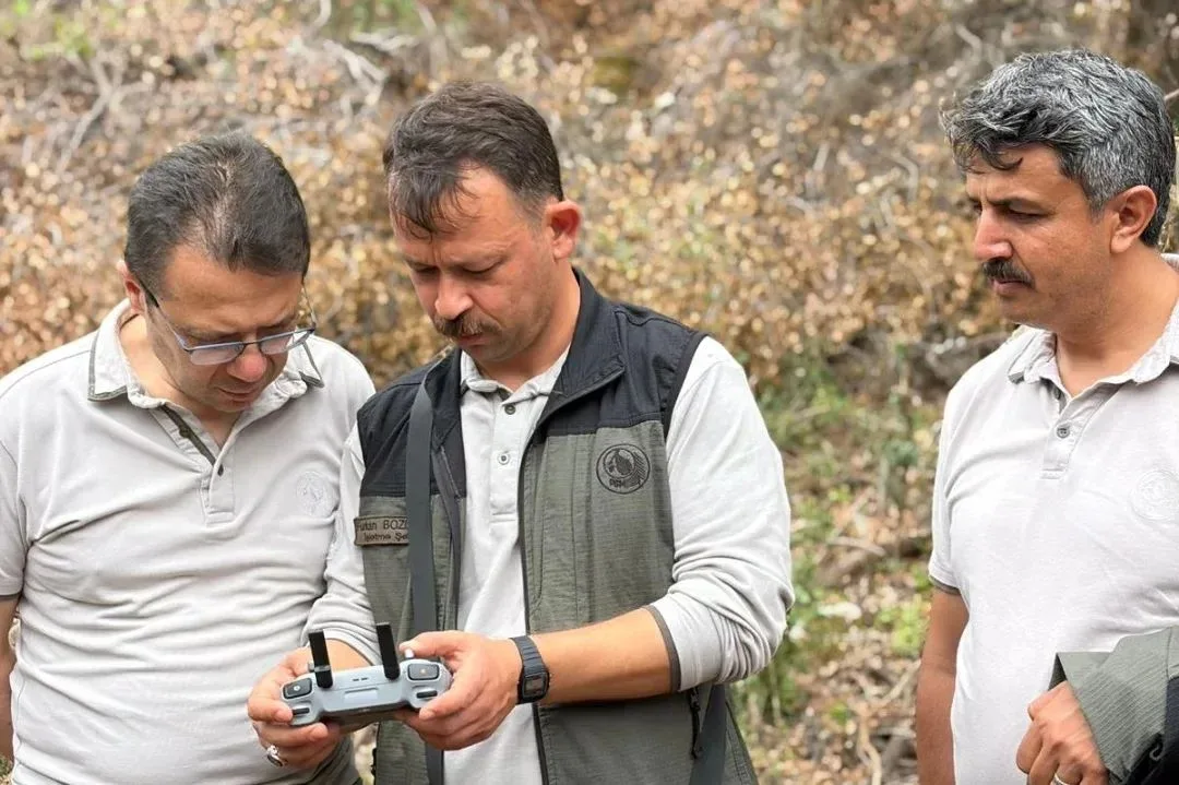 Andırın’da Ormanlar Geleceğe Hazırlanıyor: Bölge Müdürü Sahada İncelemelerde Bulundu