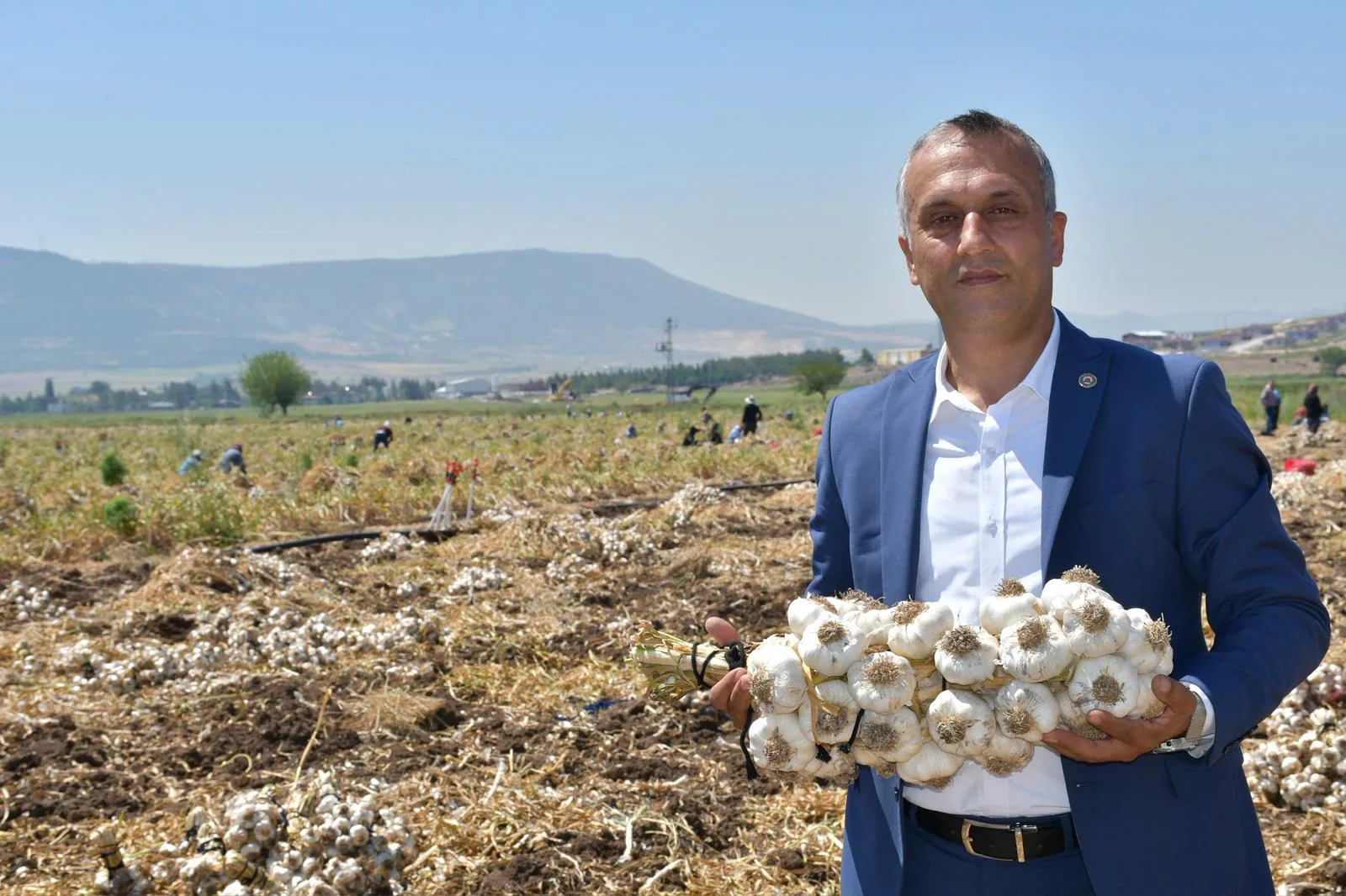 Pazarcık’ın ‘Beyaz Altın’ında Yağış Bereketi: Kalite Yüksek, Fiyat Düşük!