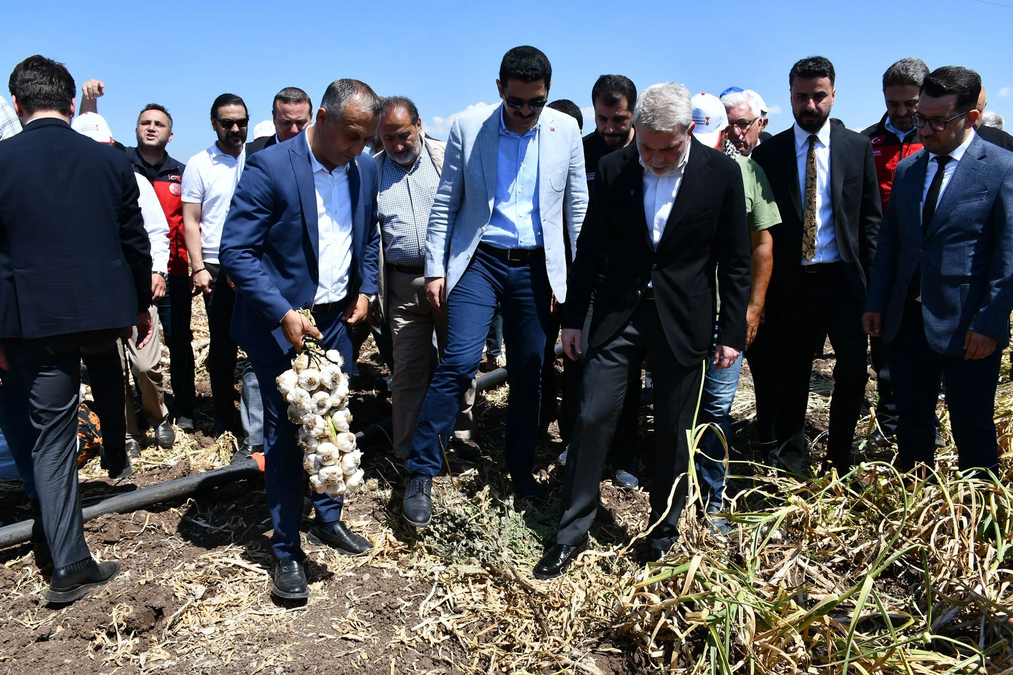 Pazarcık’ın ‘Beyaz Altın’ında Yağış Bereketi: Kalite Yüksek, Fiyat Düşük!