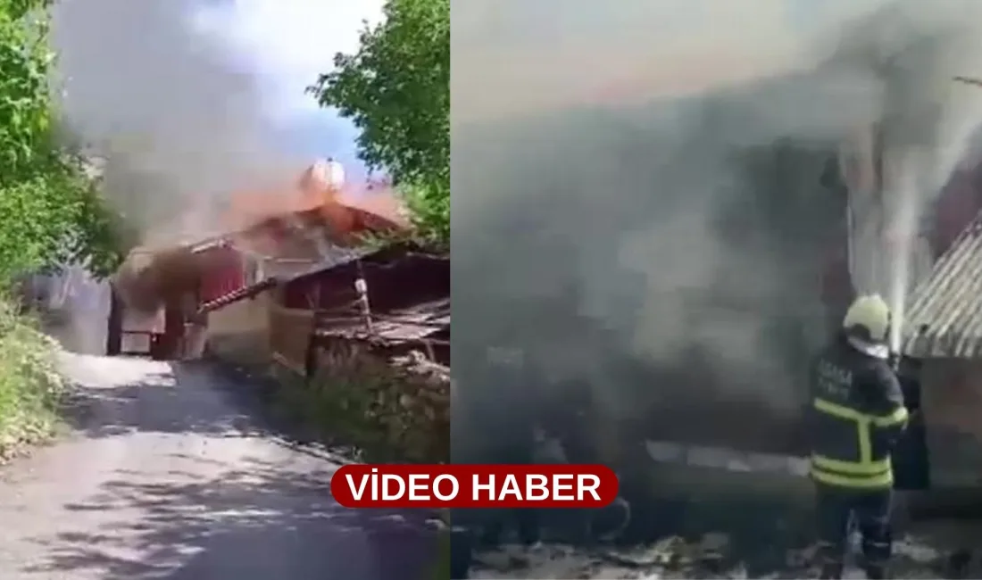 Yaylada çıkan yangın büyük paniğe neden oldu. Yangında 2 yayla