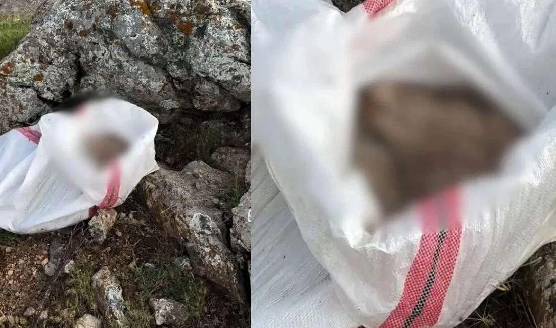 Kahramanmaraş’ın Elbistan ilçesinde yürekleri sızlatan bir tablo gün yüzüne çıktı.