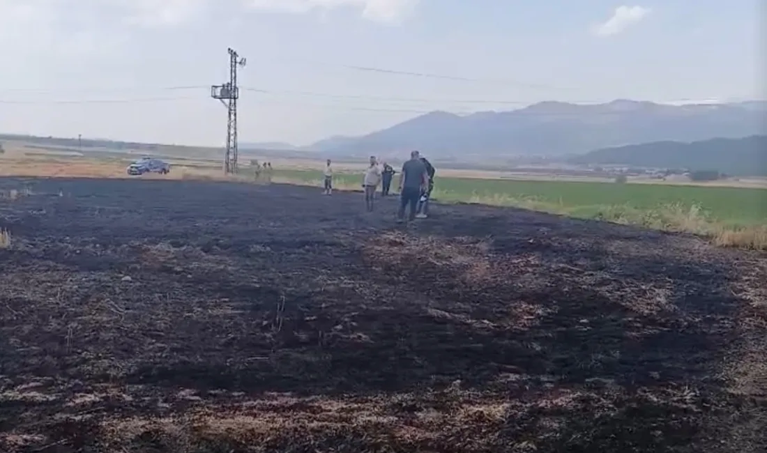 Hasat hazırlığı yapılan tarlada çıkan yangında, 5 dönüm buğday ekili