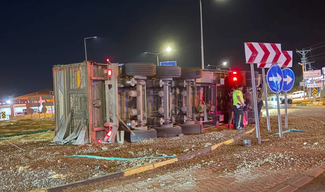 TIR'ın devrildiği kazada dorsedeki 17 ton arpa yola döküldü. TIR