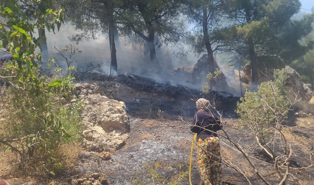 Kahramanmaraş’ta orman yangını çıktı. Ekipler, alevleri kontrol altına almak için