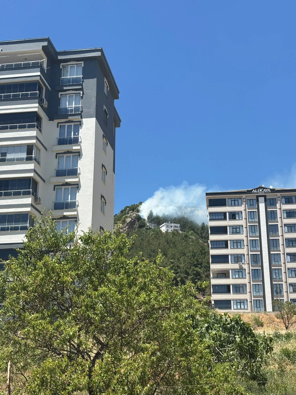 Kahramanmaraş’ta orman yangını Kahramanmaraş’ta orman yangını