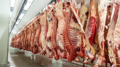 Kahramanmaraş’ta et sektöründe flaş bir gelişme yaşandı. Et kesiminde yüzde