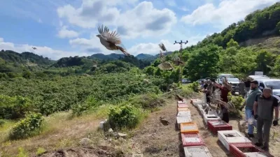 Tarım ve Orman Bakanlığı, kene ve çeşitli tarımsal zararlılarla mücadelede