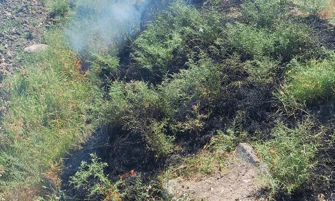 Kahramanmaraş’ta tarım arazilerinin ve yeşil alanların korunması adına örnek bir