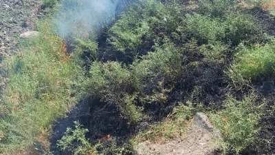 Kahramanmaraş’ta tarım arazilerinin ve yeşil alanların korunması adına örnek bir