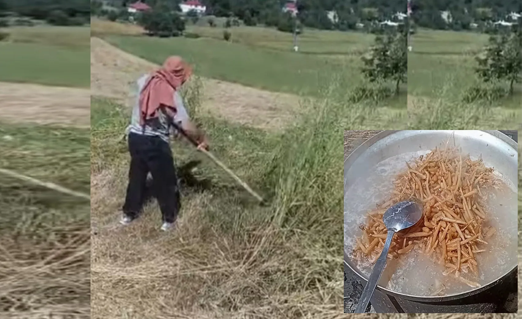 Andırın'da Yaz Mesaisi Başladı: Bir Yanda Tırpan, Diğer Yanda Salep Kazanları