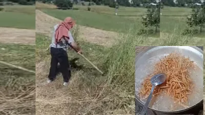 Kahramanmaraş’ın Andırın ilçesinde yaz mevsiminin gelmesiyle birlikte köylülerin en önemli