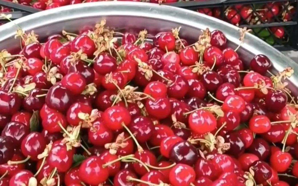 Kahramanmaraş’ın kendine has iklimi ve verimli topraklarıyla tanınan ilçesi Andırın’da,