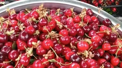 Kahramanmaraş’ın kendine has iklimi ve verimli topraklarıyla tanınan ilçesi Andırın’da,