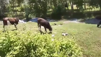 Andırın ilçesinde 3 köyün ortak su ihtiyacını karşılayan içme suyu
