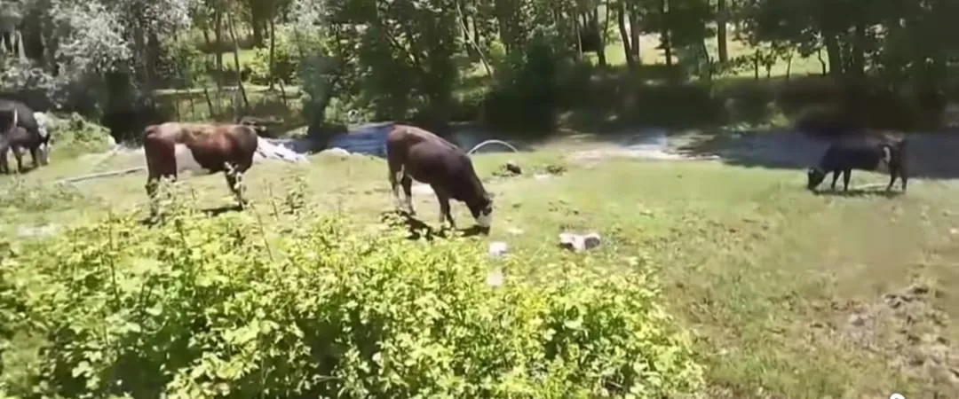 Andırın ilçesinde 3 köyün ortak su ihtiyacını karşılayan içme suyu