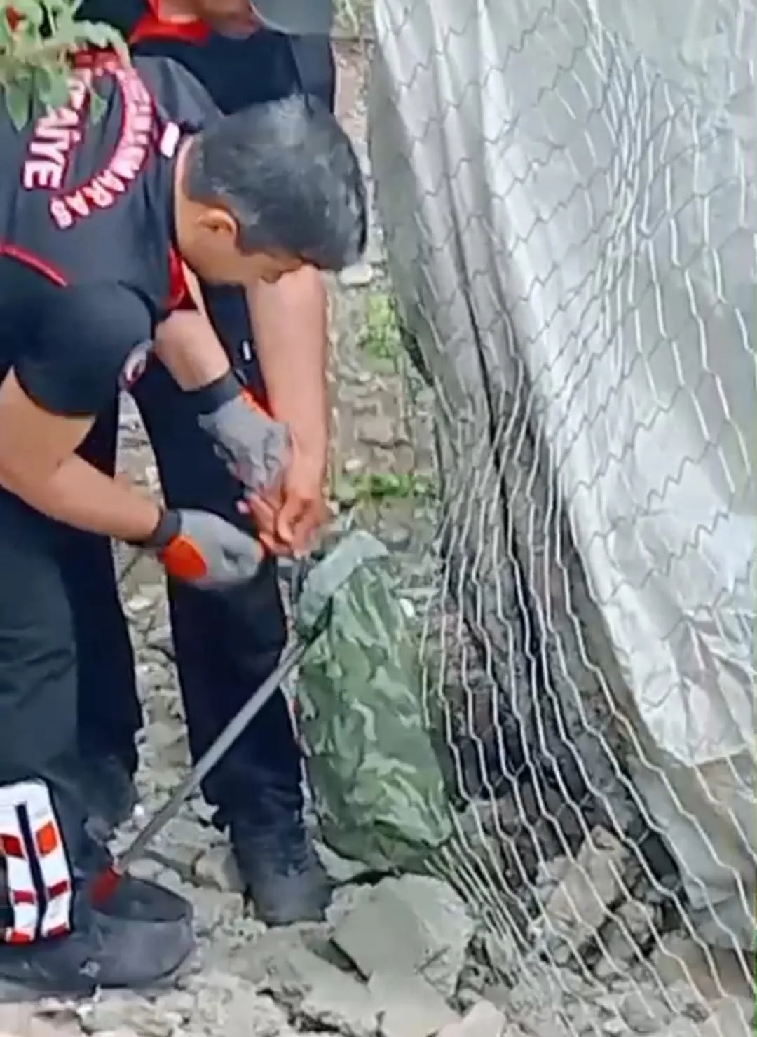 Andırın’da Kümese Giren Dev Kara Yılan İtfaiyeyi Alarma Geçirdi