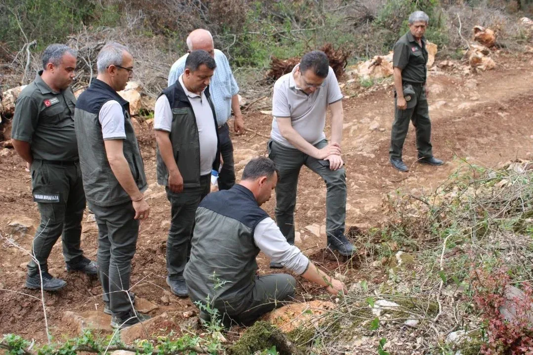 Andırın’da Ormanlar Geleceğe Hazırlanıyor: Bölge Müdürü Sahada İncelemelerde Bulundu