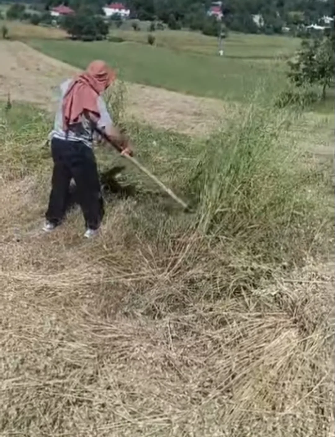 Andırın'da Yaz Mesaisi Başladı: Bir Yanda Tırpan, Diğer Yanda Salep Kazanları