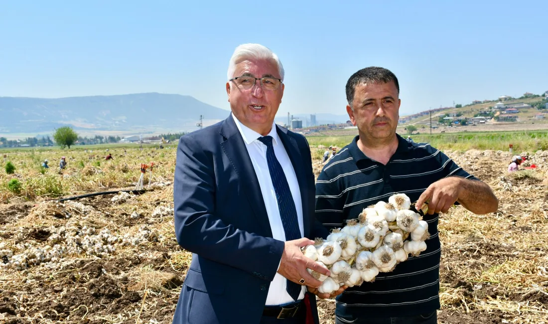 Kahramanmaraş’ın Pazarcık ilçesinde, bölgenin en önemli tarımsal değerlerinden biri olan