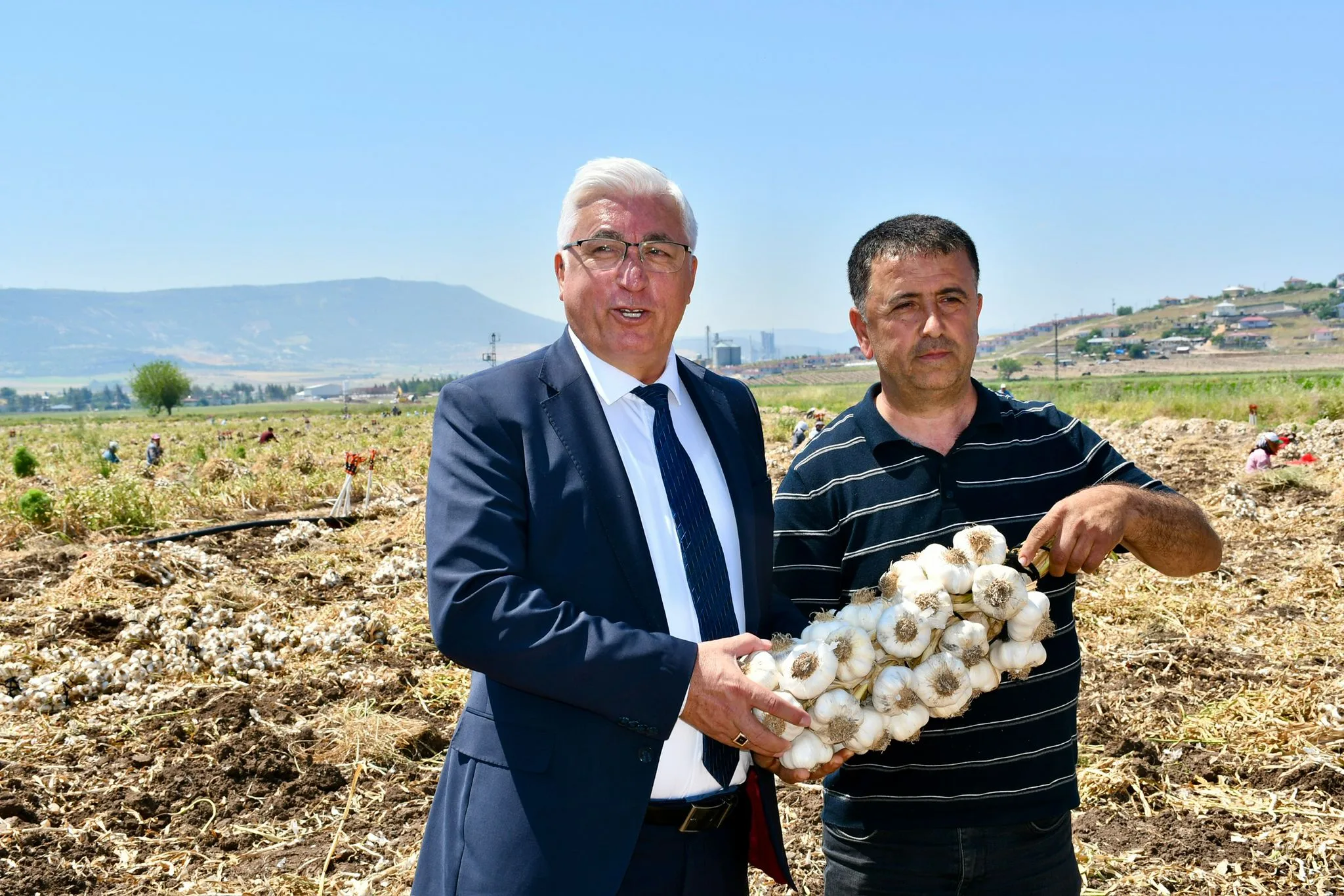 Haydar İkizer’den Hasat Alanında Çarpıcı Çıkış: "Sarımsak 50-60 Lira, Çiftçi Hakkını Alamıyor"