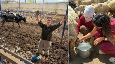 KSÜ'den Uzanan Başarı: Genç ve başarılı Zooteknist Elif Zorlusoy ülke