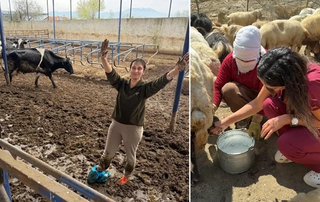 KSÜ'den Uzanan Başarı: Genç ve başarılı Zooteknist Elif Zorlusoy ülke
