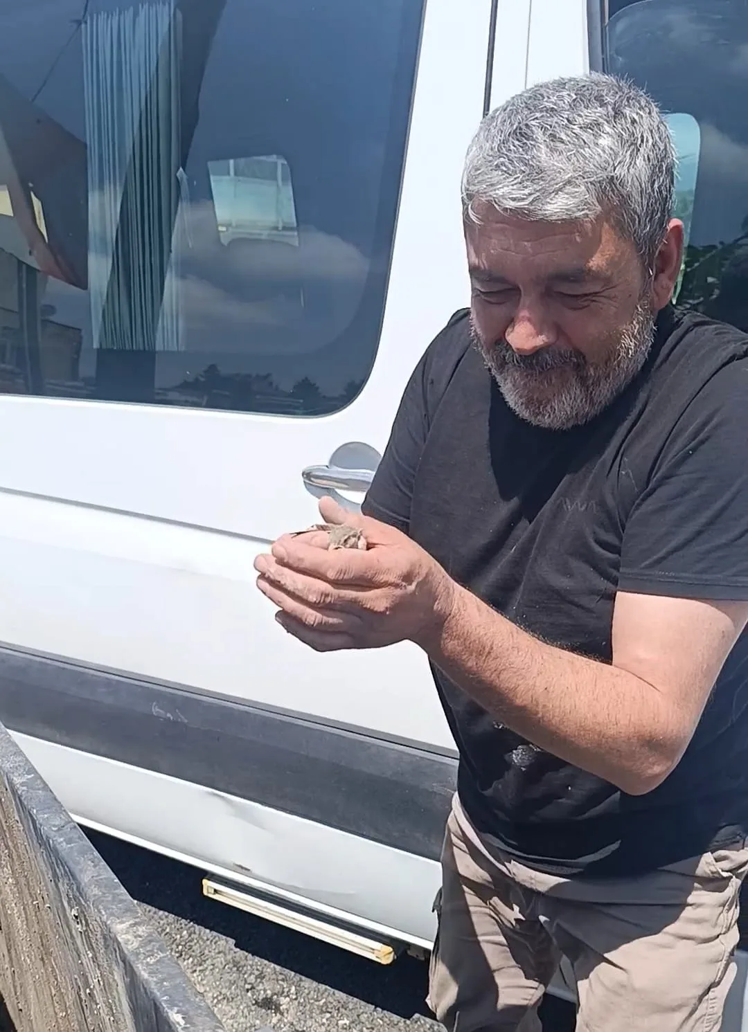 Çöp Konteynerine Düşen Yavru Serçe Kurtarıldı