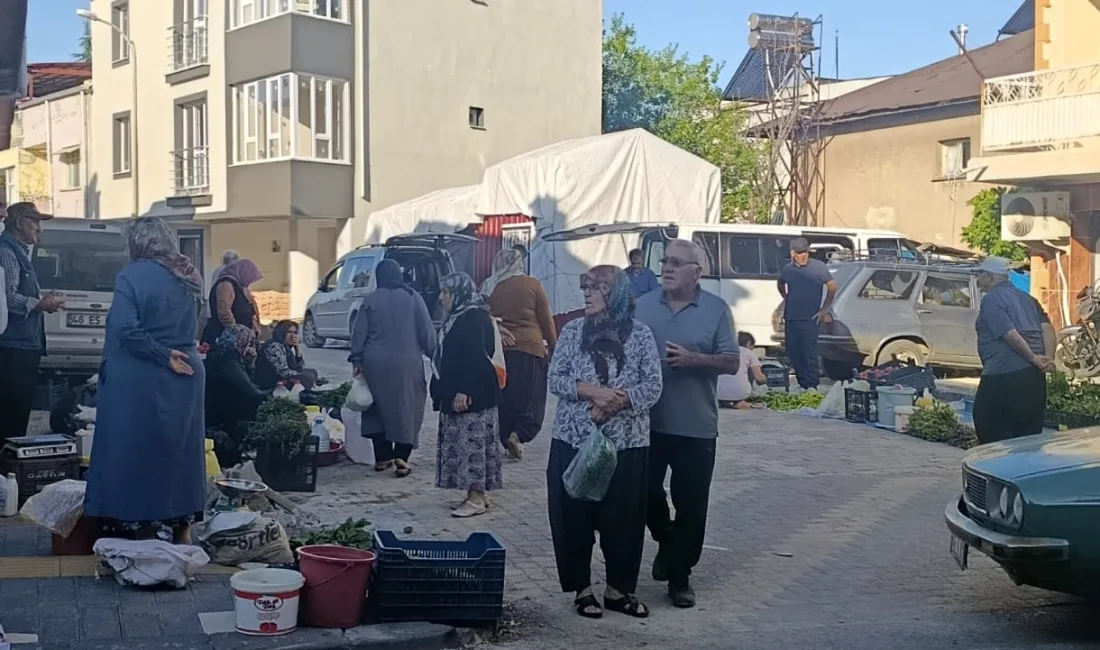 Okulların kapanması ve yaz sıcaklarının bastırmasıyla birlikte, Çukurova’nın bunaltıcı havasından