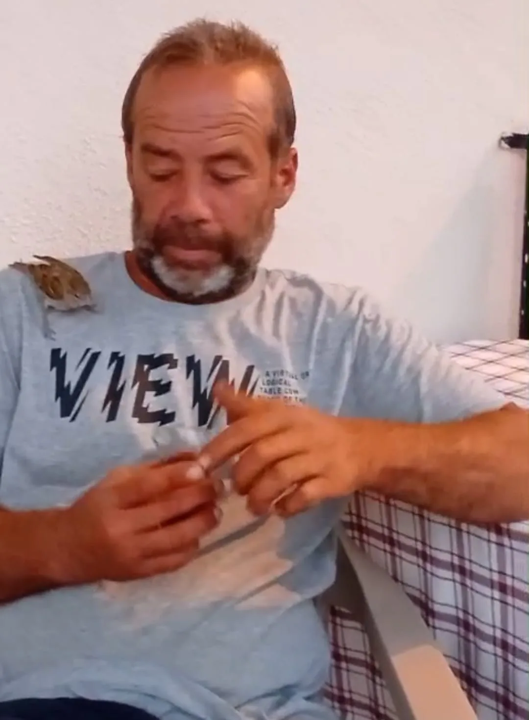 Serçe İle Murat'ın Dostluğu