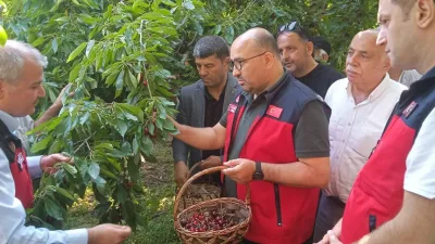 Kahramanmaraş’ın Andırın ilçesine bağlı dünyaca ünlü kirazıyla tanınan Çığşar Mahallesi,