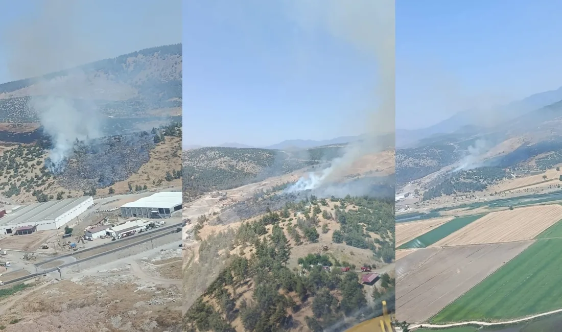 Kahramanmaraş’ın Türkoğlu ilçesinde enerji nakil hattından çıkan orman yangını, ekiplerin