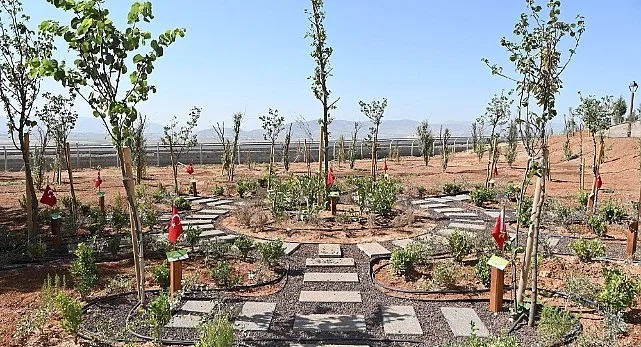 Kahramanmaraş Büyükşehir Belediyesi, doğa dostu yatırımlarına bir yenisini ekleyerek Türkiye’ye